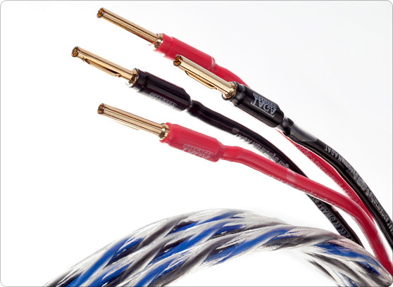 Taga Harmony AZURE-14-2C - cecha 2